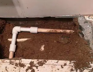 防城港测漏水哪家好