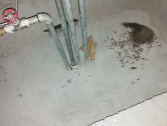 防城港卫生间测漏水价格明细